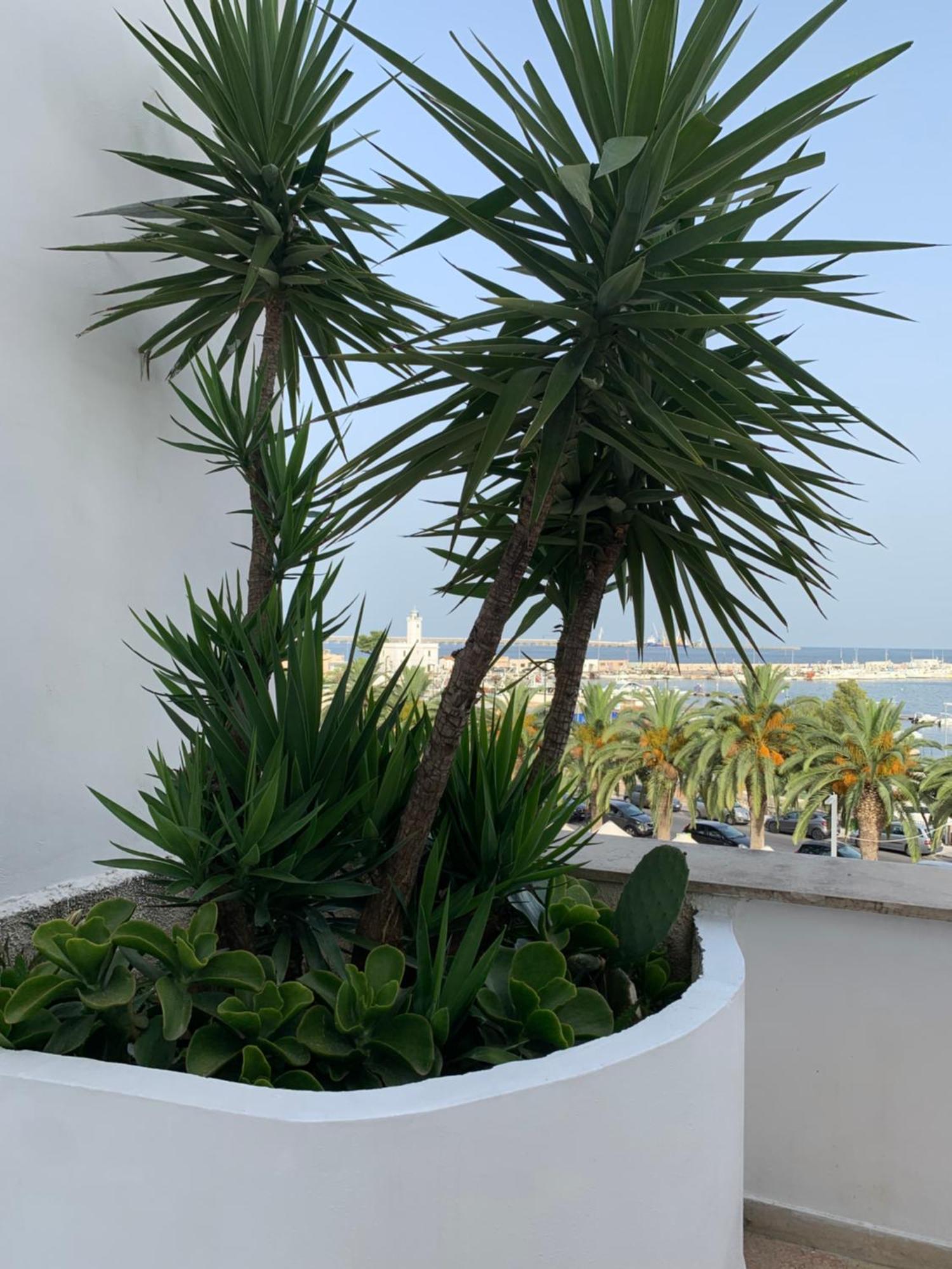 Terrazza Diomede- Manfredi Homes & Villas Manfredonia Eksteriør bilde